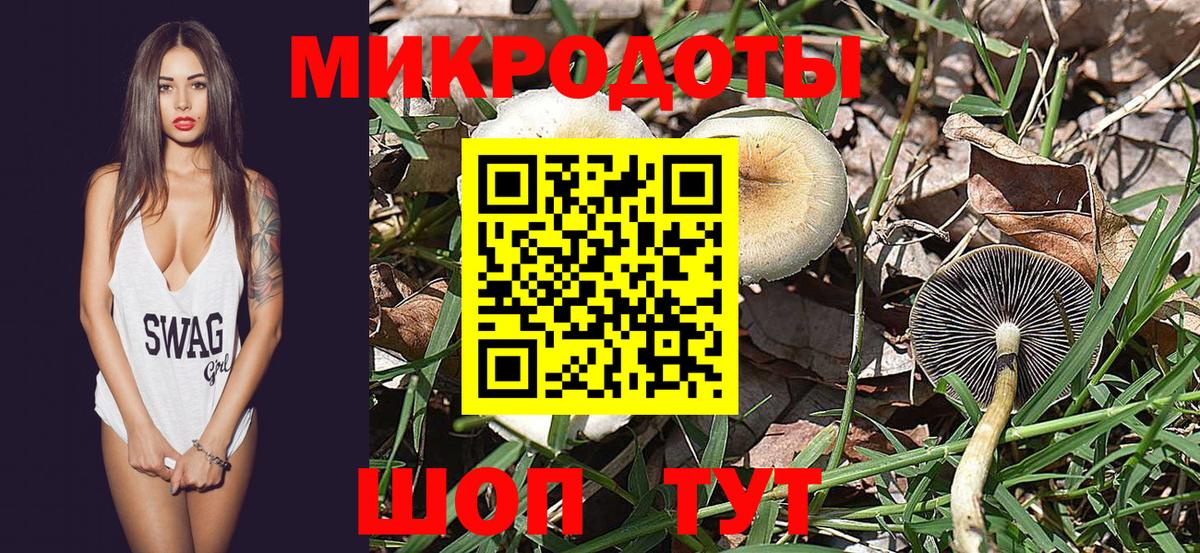 Псилоцибиновые грибы прущие грибы Моршанск