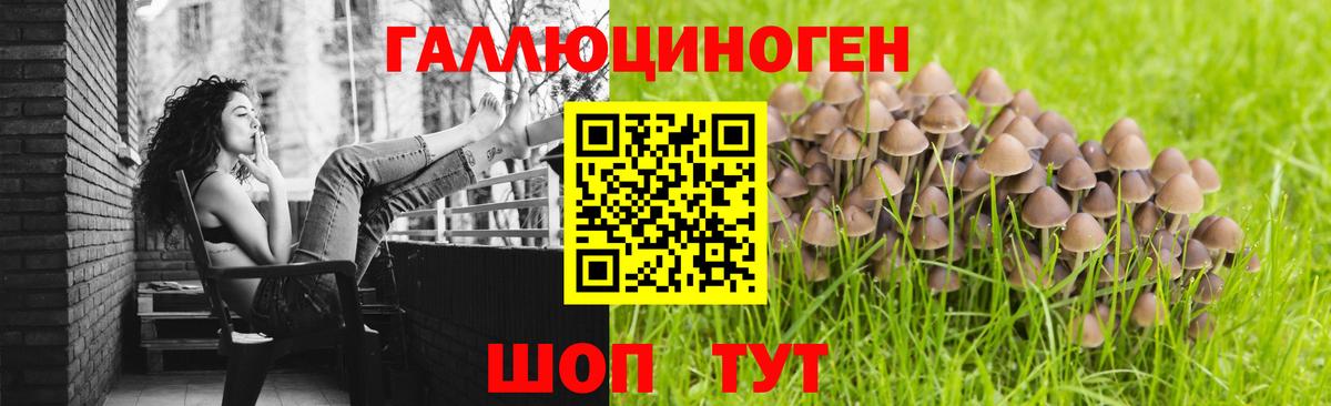 купить  сайты  Галлюциногенные грибы Psilocybe  Вход с VPN  Моршанск 